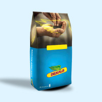 Сефор ДК Monsanto насіння озимого ріпаку, (Монсанто)