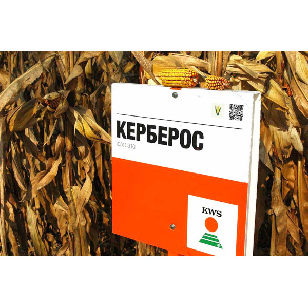 Керберос ФАО 310 КВС, насіння кукурудзи KWS 14 кг