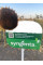 НК Адажіо Syngenta (під Євро-Лайтнінг), насіння соняшника Сингента 10 кг