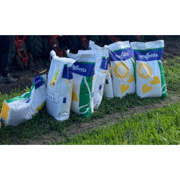 Сузука HTS Syngenta (під Гранстар), насіння соняшника Сингента 10 кг