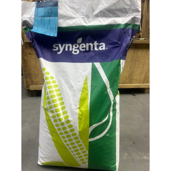 СИ Феномен ФАО 200 Сингента, насіння кукурудзи SI Fenomen Syngenta 22 кг