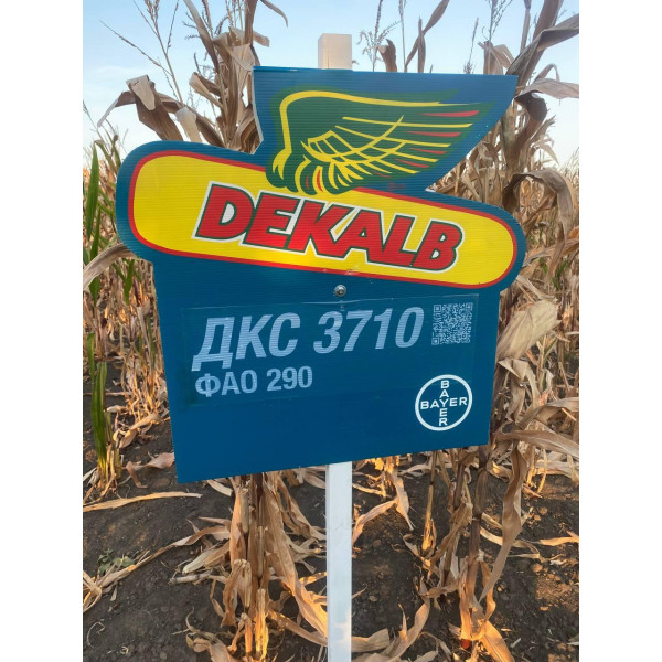 ДКС 3711 ФАО 280 Монсанто Декалб, насіння кукурудзи DKC 3711 Monsanto Dekalb 22 кг