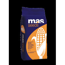 MAS 24C ФАО 280 Маїсадур, насіння кукурудзи Maisadour