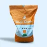 Насіння кукурудзи КВС (KWS)