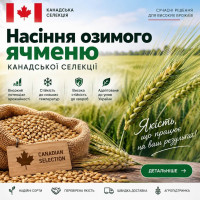 Віста насіння Канадського ячменю-дворучки, Еліта, шестирядний