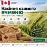 Насіння озимого ячменю, Канадської селекції
