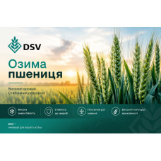 Артист, DSV Еліта насіння озимої пшениці, DSV (ДСВ), безоста