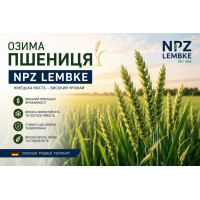 ЗУ Мендоза, NPZ Lembke Еліта насіння озимої пшениці, NPZ Lembke (НПЗ Лембке), безоста