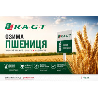 РЖТ Балетка, RAGT Semences насіння озимої пшениці, RAGT Semences (РАЖТ Семенс), безоста