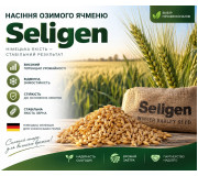 Насіння озимого ячменю, Seligen (Селіген)