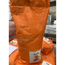 Келтікус ФАО 270 КВС, насіння кукурудзи KWS 14 кг